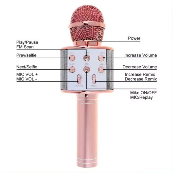 Kids Rechargeable Electronic Toy Mike for Singing Girls & Boys - Fun Mike - HandHeld KTV - Wireless Microphone Hifi Speaker (Random color will be sent)