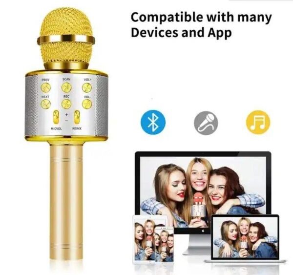 Kids Rechargeable Electronic Toy Mike for Singing Girls & Boys - Fun Mike - HandHeld KTV - Wireless Microphone Hifi Speaker (Random color will be sent)