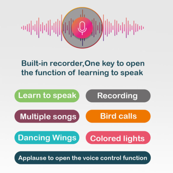 Kart In Box - Talking Bird Toy for Kids – Interactive Parrot with Speech Mimicry, Sound Effects, and Realistic Movements - Image 4